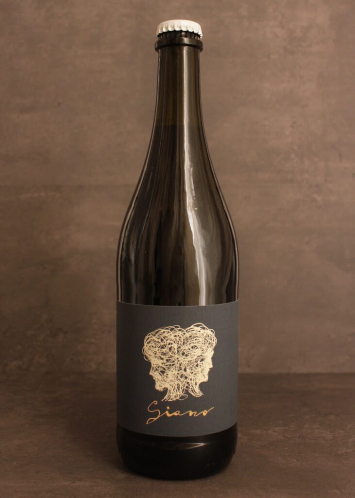 Lambrusco Mantovano Giano Ancestrale By Fondo Bozzole